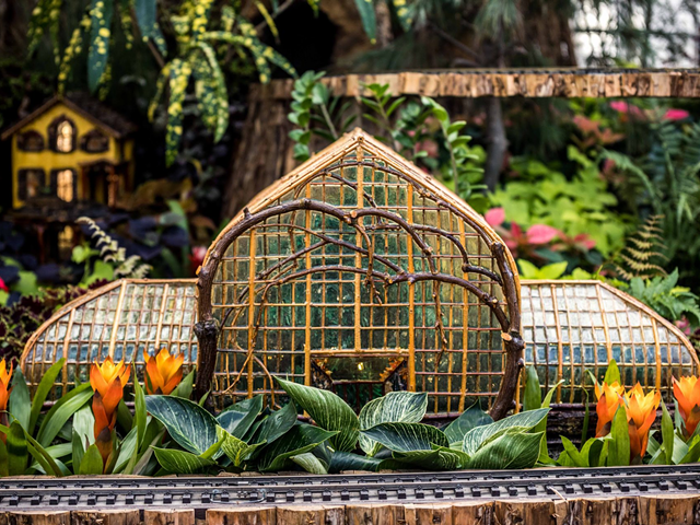 Trains and Traditions at Krohn Conservatory