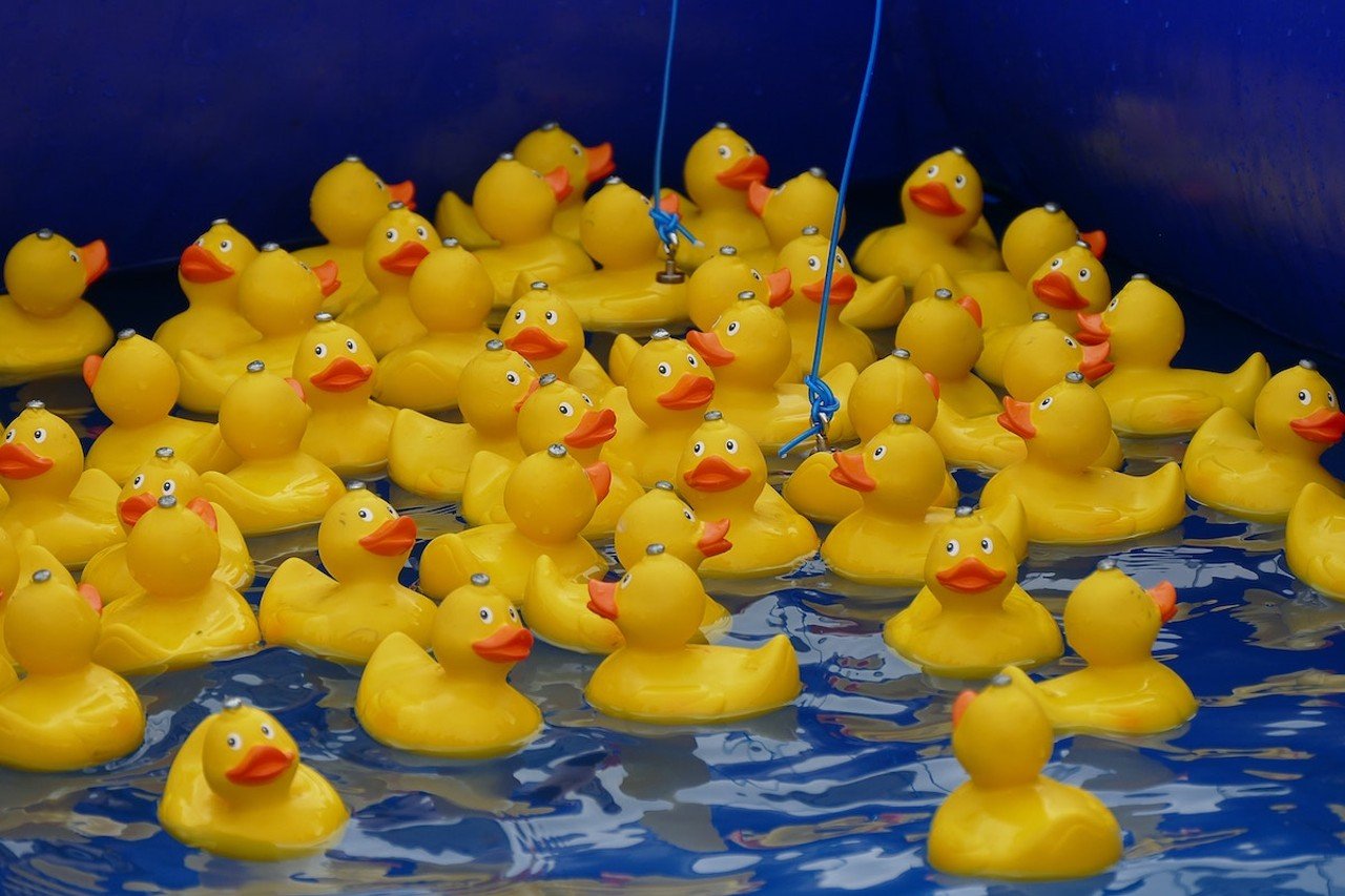 Great Rubber Duck Race
12-3 p.m. May 20
When you adopt a rubber duck to race, you can help save real ducks at the first-ever Great Rubber Duck Race. Money raised from the event benefits Longbottom Bird Ranch, a self-described retirement community for domestic ducks. At the event, you’ll “adopt” a rubber duck to race in the creek behind Covalt Station in Milford. Winners receive gift baskets containing gift cards to local businesses, duck-themed collectibles and merchandise. You may even get to meet the famous duck artist Kiwi.  
12-3 p.m. Saturday, May 20. Covalt Station, 222 Wooster Pike, Milford. longbottombirdranch.com.