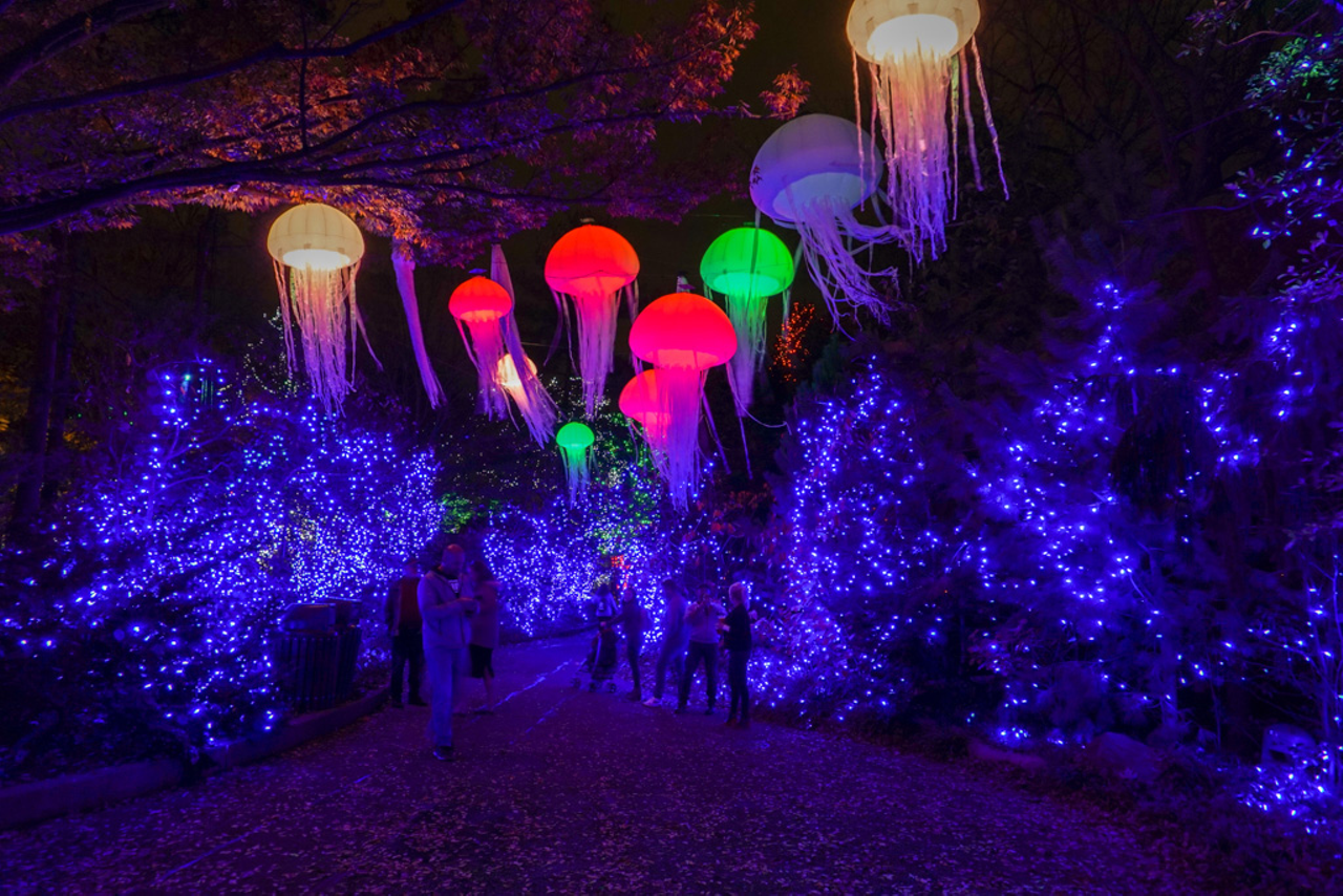 15 Greater Cincinnati Light Shows and Displays to Help You Get in the  Holiday Spirit