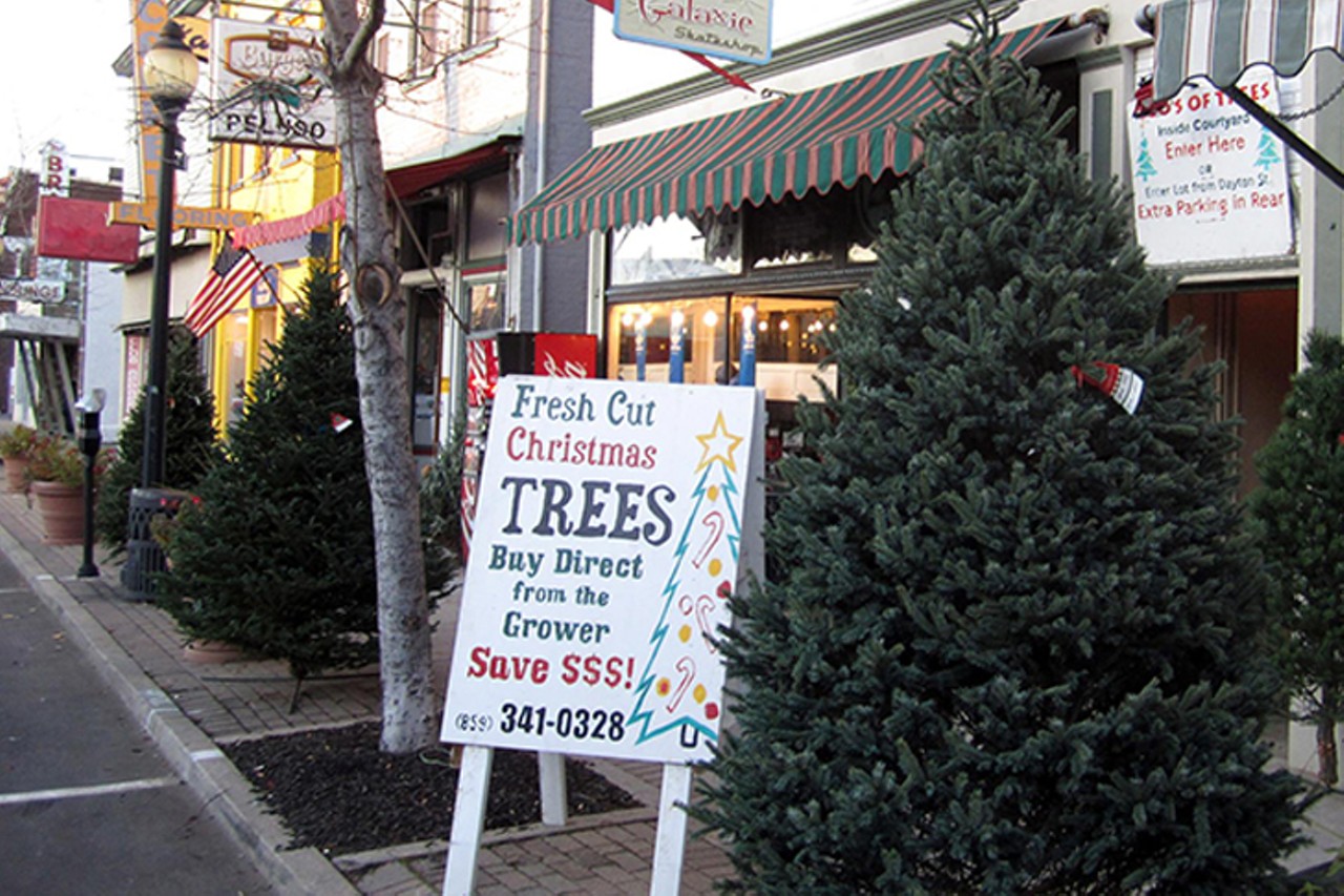 Tom Mitts Christmas Trees
625 Monmouth St., Newport
The current owner of Tom Mitts Christmas Trees took over the enterprise in summer 2017, after Tom Mitts passed away unexpectedly after heart surgery. David, who now runs the tree lot, has been working at Mitts' since he was 8 years old. Trees start at $42.95 and are priced by size, type and grade. Most range from 3 to 9 feet tall, but they also have a limited supply of 10-plus feet tall. New trees are added every day and they'll provide a fresh cut on the trunk, trim the boughs, net it, drill the base (to be set in a stand) and help secure it to your vehicle. 
Open 9 a.m.-8 p.m. daily.