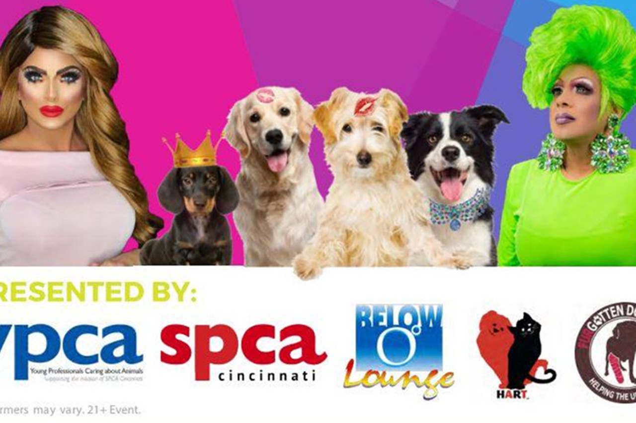 SATURDAY 18
EVENT: Queens & Canines
HART Cincinnati, Furgotten Dog Rescue, SPCA Cincinnati and your favorite local drag queens are teaming up to bring you some fabulous furry fun. Below Zero Lounge is hosting Queens & Canines &#151; an afternoon of drag shows and adoptable pups, all raising funds for those onsite rescue organizations. Come for the entertainment; leave with a new four-legged friend.&nbsp;4-7 p.m. Saturday. Free admission; donations accepted and tips for queens appreciated. Below Zero Lounge, 1120 Walnut St., Over-the-Rhine, facebook.com/belowzerolounge.
Photo: Provided