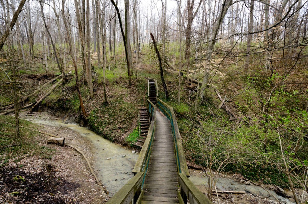 Caldwell Nature Preserve 
430 W. North Bend Road, Carthage 
Ranked as one of the top 10 hikes in Ohio by Marmot outdoors company in 2016, Caldwell Nature Preserve in Carthage has 3.5 miles of trails that include a paved and level path into the woods that is accessible to those in wheelchairs.