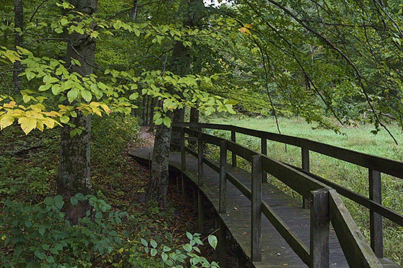 Miami Whitewater Forest
9001 Mt. Hope Road, Harrison
Miami Whitewater is the go-to park for people living in Harrison. Four nature trails wind through the Miami Whitewater Forest. The paved exercise trail leads through views of woods, creeks, grasslands and local rural neighborhoods for a 1.4 mile loop or the outer loop of almost 8 miles.
