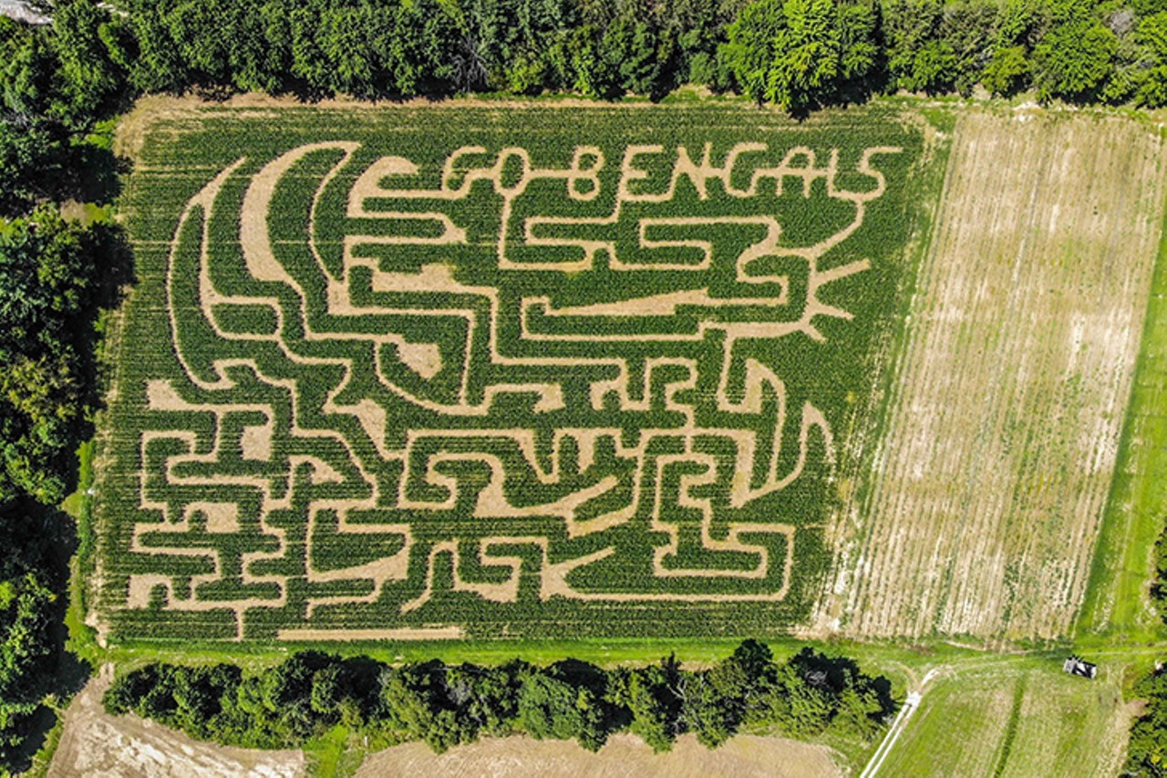 Venture through a corn maze at Blooms & Berries Farm Market
9669 OH-48, Loveland
Fall on the Farm at Loveland&#146;s Blooms & Berries returns this year, inviting folks to explore their 7-acre corn maze, along with plenty of other autumnal activities like pumpkin picking and visits with farm animals. Adults can enjoy the new beer garden with a variety or beers, wines, ciders and seltzers while they watch the game. The farm is offering a contact-free ticketing platform &#151; all tickets must be purchased online. 
10 a.m.-7 p.m. Monday-Saturday and 10 a.m.-6 p.m. Sundays Sept. 19-Nov. 1. $12 weekends; $10 weekdays (not all activities are available). 
Photo via Facebook.com/BloomsandBerries