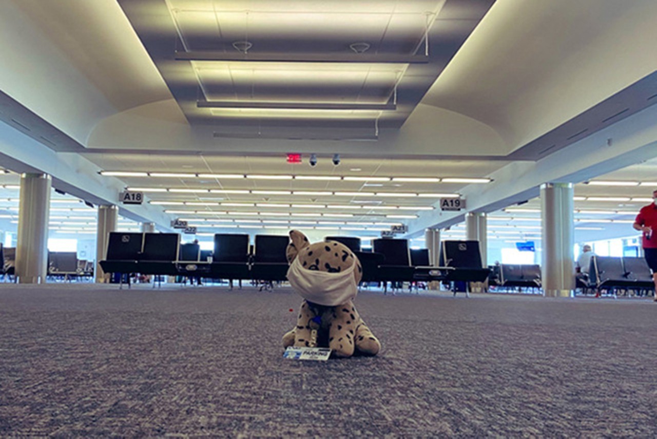 A stuffed dog left at the CVG airport found its way home
Photo: Twitter/CVGairport