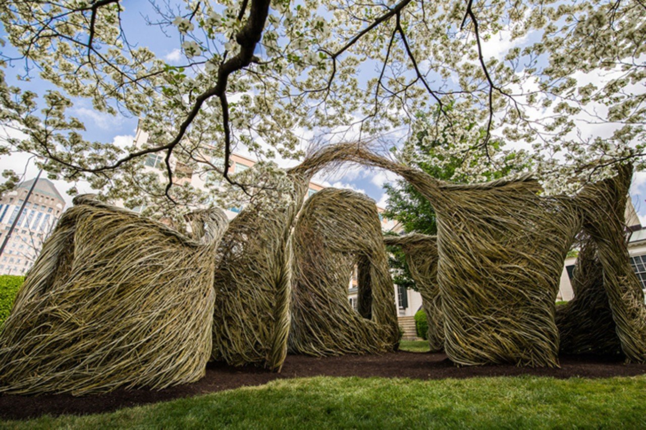 Far Flung at the Taft Museum Center
316 Pike St., Downtown
Far Flung is a large-scale, outdoor sculpture on the grounds of the Taft Museum of Art &#151; and it is pretty cool. A "unique fantasy experience" by sculptor Patrick Dougherty, it features more than six tons of manipulated willow tree saplings, twisted into whirling shapes that call to mind hobbit homes, a fairy garden and/or a Dr. Seuss fever dream manifestation. The best part? Visitors can touch and walk through it. Far Flung opened in April 2018 and is free to experience during regular museum hours. 
Photo: Hailey Bollinger