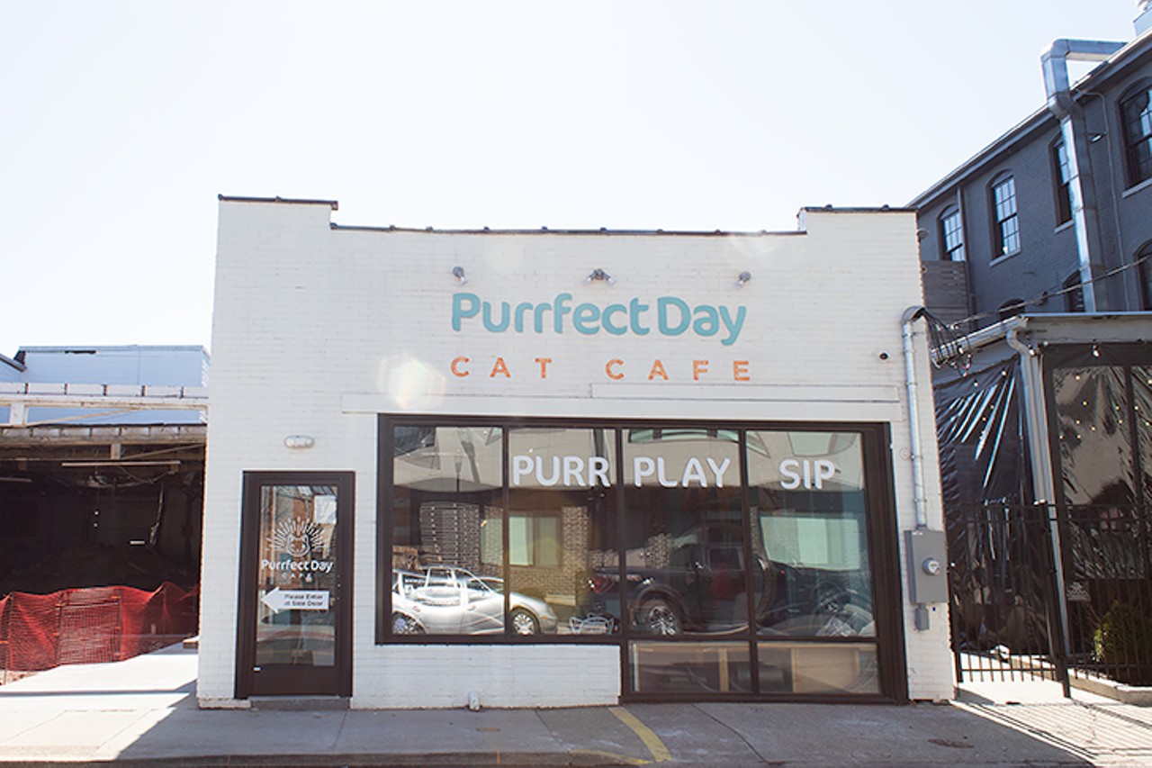 Purrfect Day Cafe
25 W. Eighth St., Covington.
For your animal-obsessed kid, reserve a 50-minute session to cuddle with kitties in Purrfect Day Cafe’s cat lounge room. Roughly 15-20 adoptable cats hang out in the lounge room, and all can be interacted with. Grab a snack like the "Paw-Pcorn" or "Purr-Etzels" and a drink— they offer up a variety of beers, wines and cocktails like the "Purrfect Meowmosa."