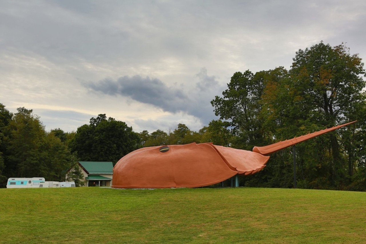 World's Largest Horseshoe Crab
7964 State Route 124, Hillsboro
This massive 67-foot-long crab was created in 1997 for The Columbus Center in Baltimore and now sits on the property of a sportsmen's lodge along SR-124 in Hillsboro. According to Roadside America, "The big crab was originally intended for a Baltimore nautical museum that went bankrupt. Crabby was then bought by the Answers in Genesis Creation Museum in Kentucky, but it proved to be too big even for their oversized sense of theater. By luck or mysterious-ways intervention, Pastor Jim was giving a talk at the museum, learned about the crab, and accepted it as a donation to (Freedom Worship Baptist Church in Blanchester)." The crab was sold in 2015 and moved to Hillsboro to become a massive ancient arthropod roadside attraction.