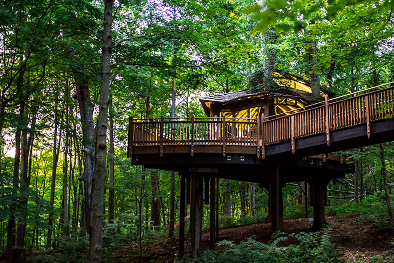 Visit Everybody&#146;s Treehouse and Walk the Trails of Mt. Airy Forest
Free admission
Everybody&#146;s Treehouse is an otherworldly, elevated structure buried in trees and seemingly snatched out of a fantasy novel. The structure is also fully wheelchair-accessible. 1212 Trail Ridge Road, Westwood
Photo: Hailey Bollinger
