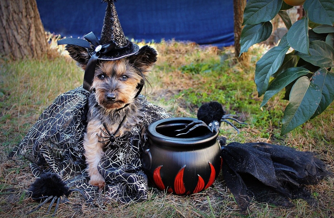 31 Cincinnati Halloween Events to Celebrate the Spooky Season