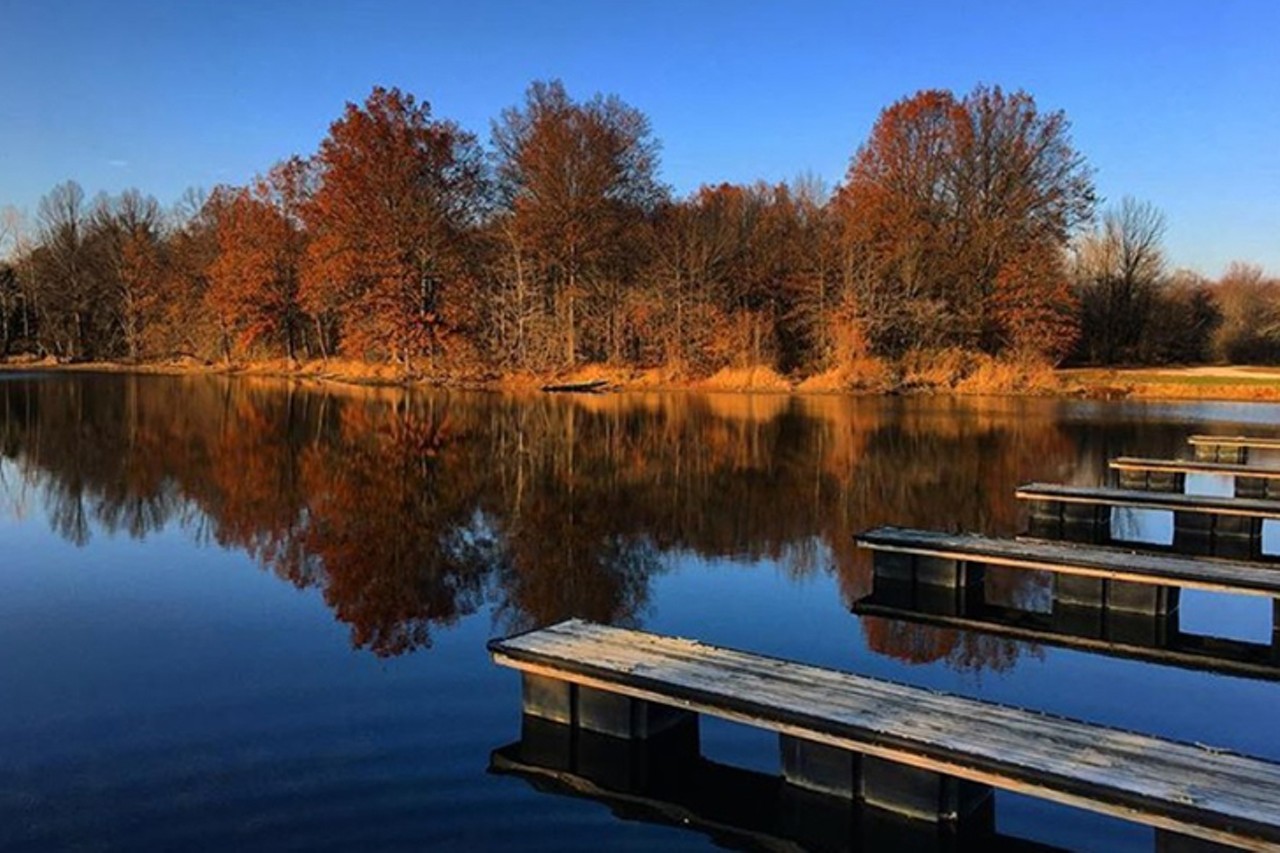 Mosquito Lake State Park
1439 State Route 305, Cortland
If you love nature, this park is a must. Mosquito Lake is one of the largest lakes in Ohio, and there are a ton of woodlands and marshes around it that wildlife call home. 
Photo via eakw/Instagram