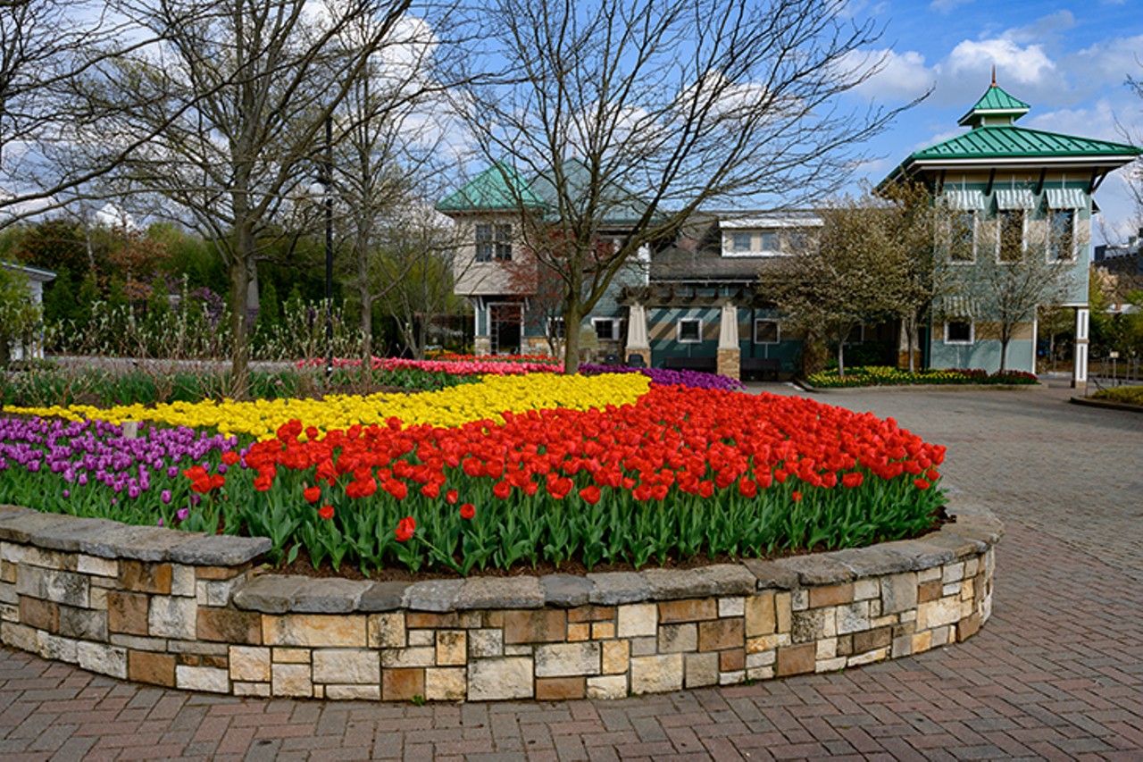 A Photo Tour of the Cincinnati Zoo & Botanical Garden's Beautiful Zoo Blooms