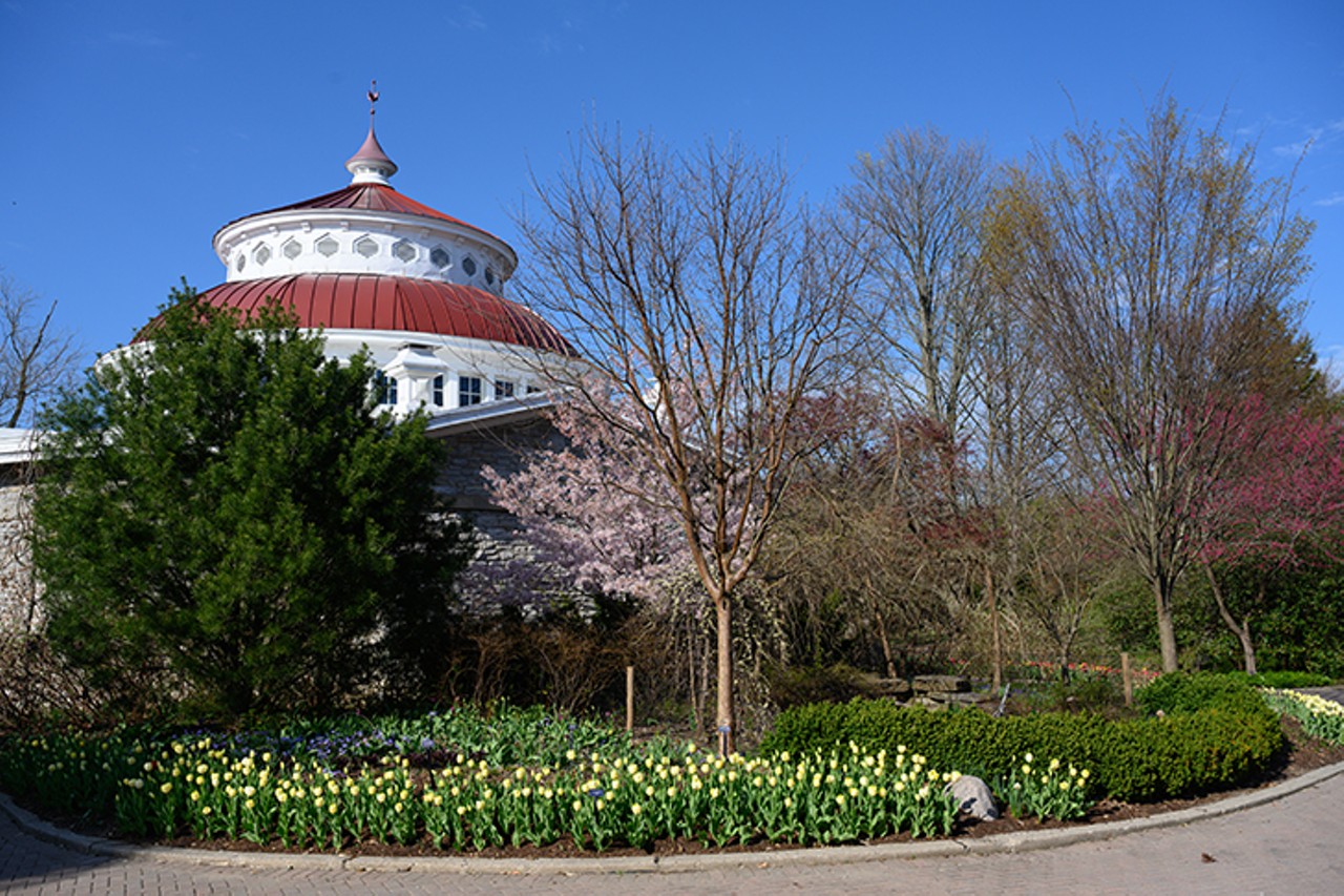 A Photo Tour of the Cincinnati Zoo & Botanical Garden's Beautiful Zoo Blooms