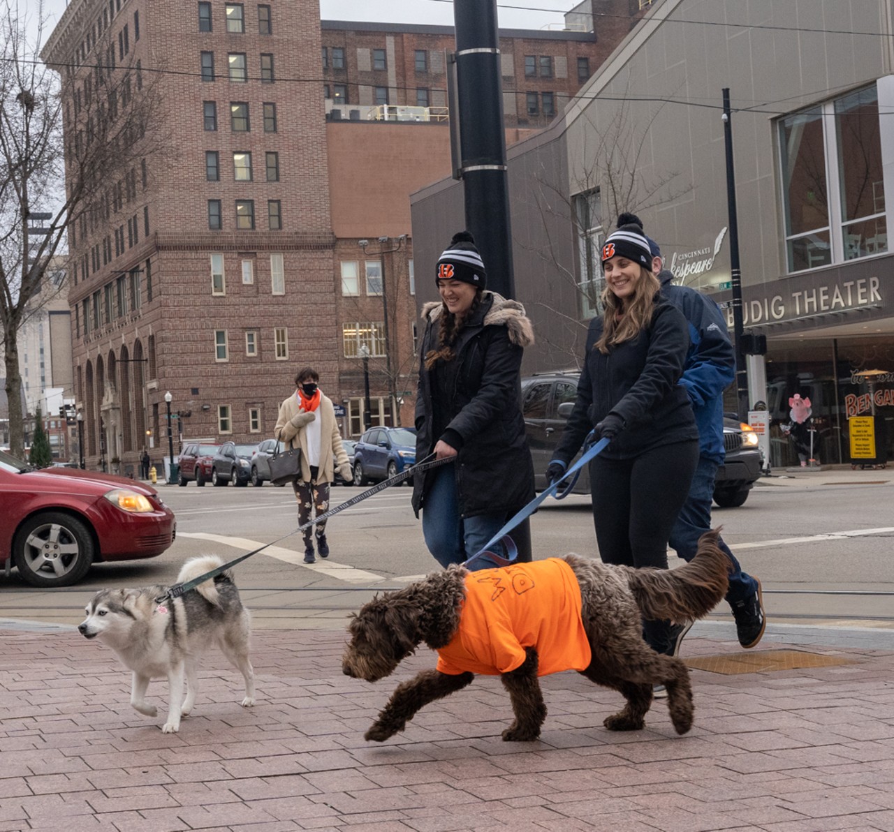 Dress Your Pup in Bengals Gear for the Cincinnati BengalDog Parade in  Over-the-Rhine, Things To Do, Cincinnati