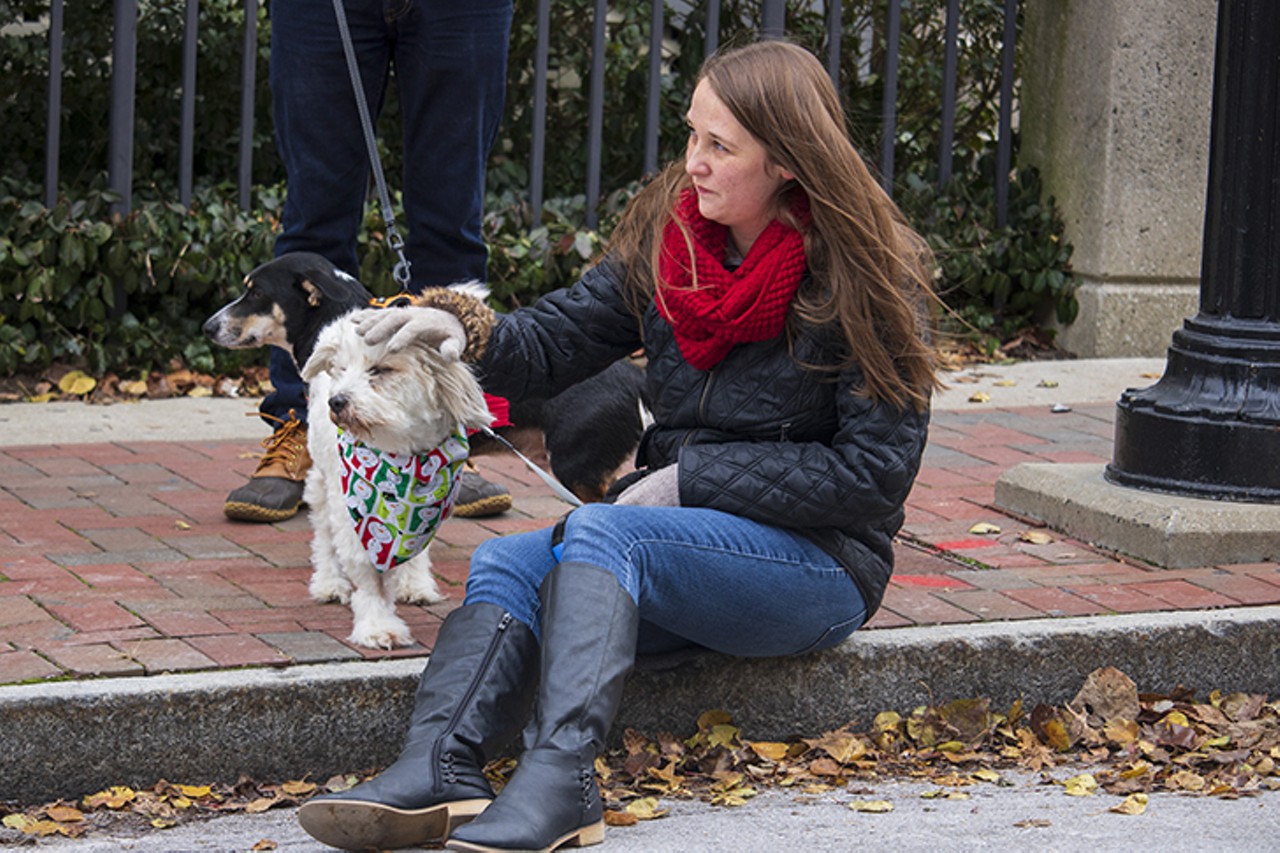 All the Festive Pups We Saw at the 29th-Annual Reindog Parade in Mount Adams