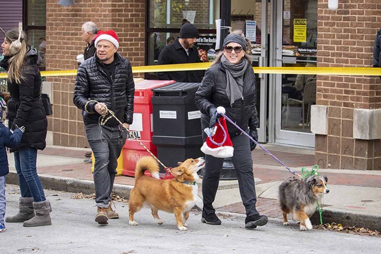All the Festive Pups We Saw at the 29th-Annual Reindog Parade in Mount Adams