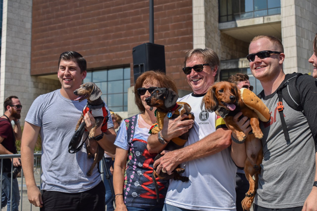 First place in the 2019 Running Of The Wieners went to Maple (right); second place was Leo (left); and third place was Bucky (middle)