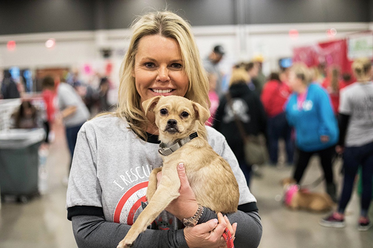 My Furry Valentine
Noon-6 p.m. Feb. 9 and 10; early admission 10 a.m.-noon Feb. 9. $5 general admission; free 5 and under; $25 early bird. Sharonville Convention Center, 11355 Chester Road, Sharonville
Bring a new Valentine home from the area&#146;s largest animal adoption event, My Furry Valentine. This event showcases hundreds of adoptable animals &#151; dogs, cats, puppies, kittens, small critters &#151; from multiple rescues and shelter groups.. What better way to celebrate love than to adopt your purr-fect pet and bring them to their fur-ever home?
Photo: Brittany Thornton