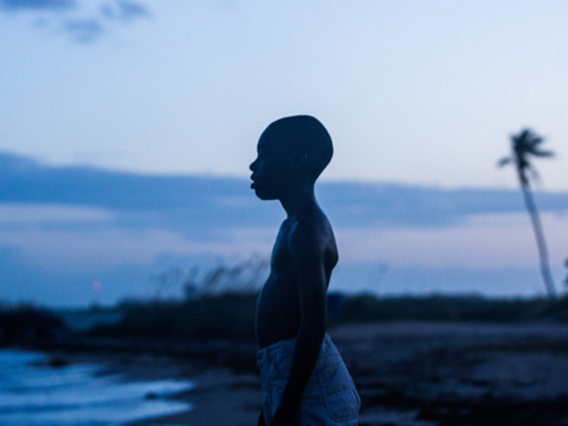 "Moonlight" did well at Tuesday's Oscar nominations.