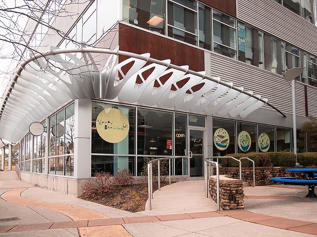 Exterior of Sleepy Bee On The Fly