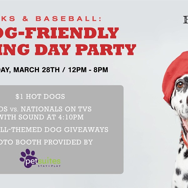 Barks and Baseball: A Dog-Friendly Opening Day Party