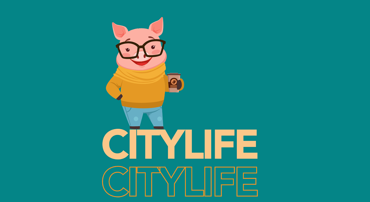 Best Of Cincinnati City Life pig