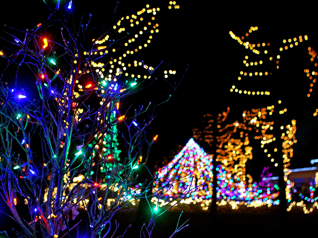 Holiday Lights on the Hill