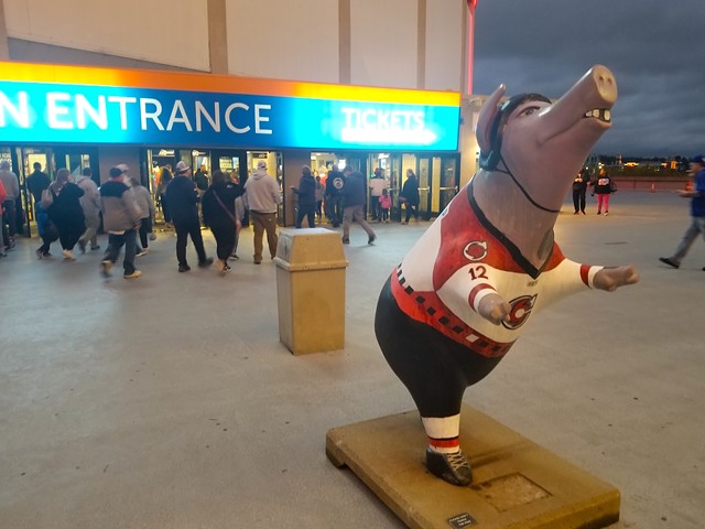 Will a Fiona statue be placed near Heritage Bank Center when the Cincinnati Cyclones become the Cincinnati Hippos on March 4, 2023?