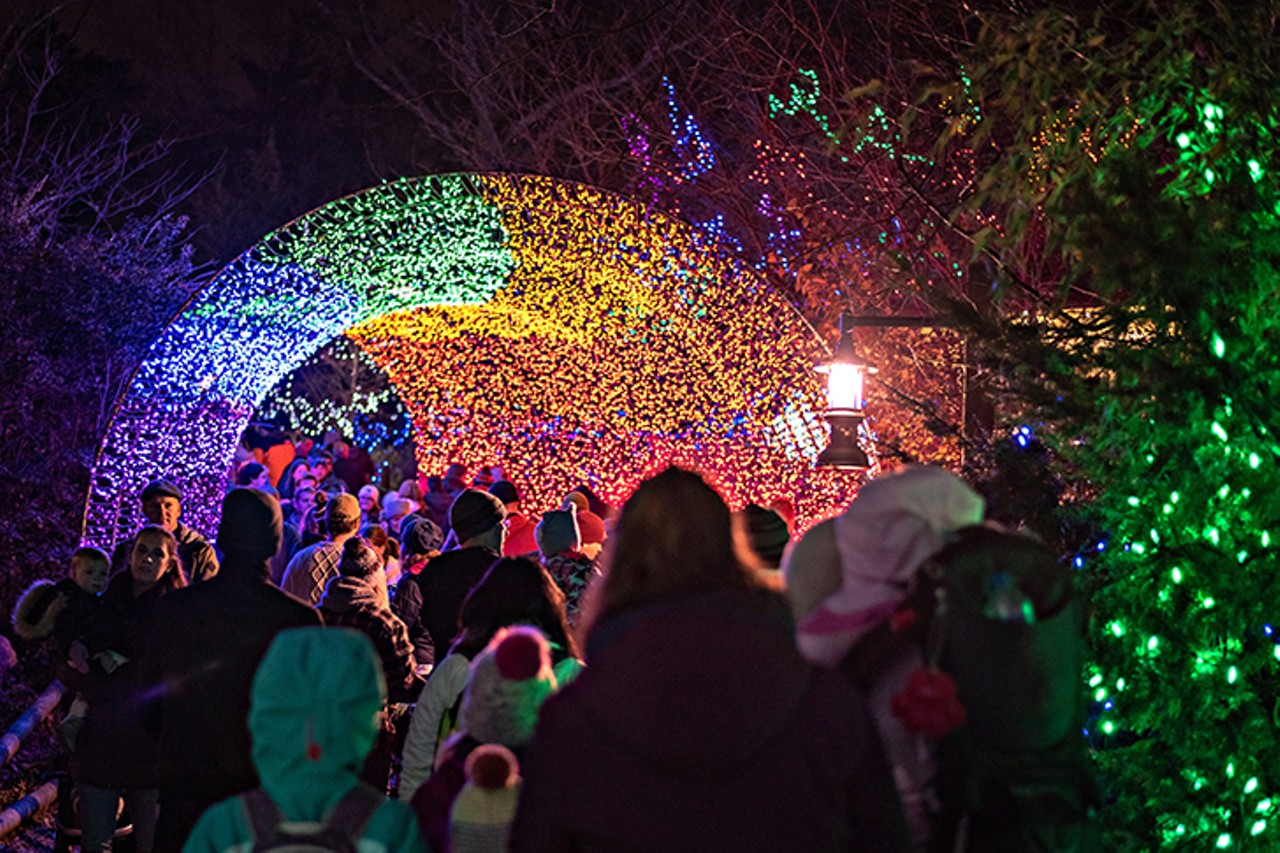 Cincinnati Zoo & Botanical Garden's Festival of Lights is a 'Wild Wonderland' of Twinkling Bulbs
