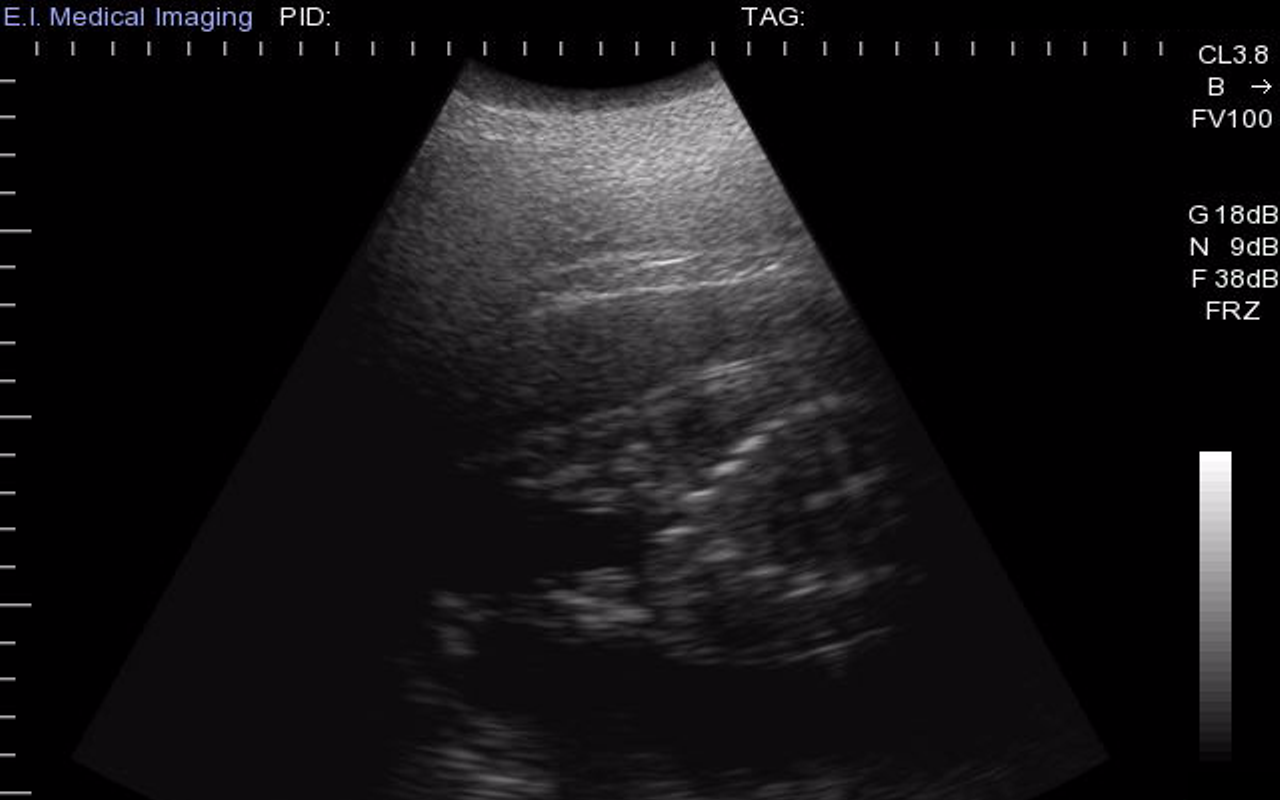 The Cincinnati Zoo posted this unspecified ultrasound over the weekend.