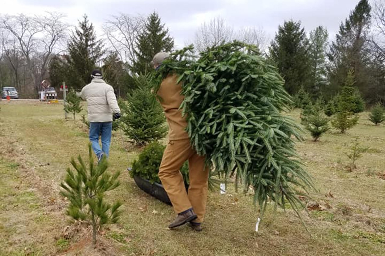 Rossmann's Christmas Tree Farm
7917 State Route 132, Blanchester
Cut your own tree at this Blanchester farm. Bring a mask to wear to the sales barn and grab a tree sled and hand saw (each sled and saw will be sanitized after use). Wreaths will also be for sale outside, but Rossmann's indoor tree shop will be closed. Balled and burlapped trees will not be available this year. Cash or check only; no credit cards. 
Open 9 a.m.-5 p.m. Nov. 27 with additional hours 9 a.m.-5 p.m. Nov. 28, Nov. 29, Dec. 5 and Dec. 6 &#151;&nbsp;if supply allows.
Photo: facebook.com/rossmannstrees