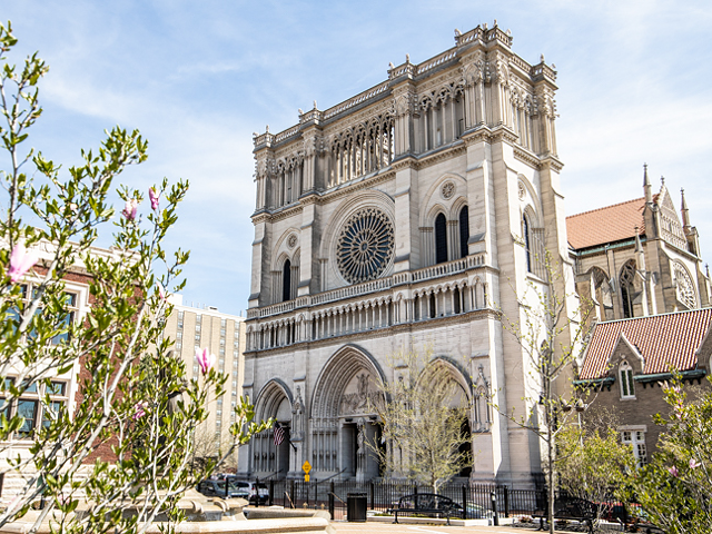 Covington's Cathedral Basilica of the Assumption