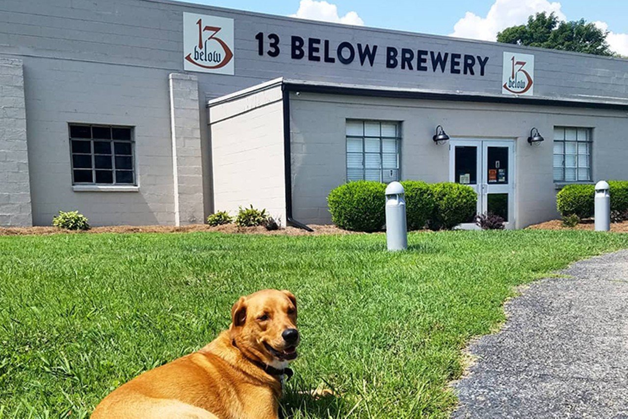 13 Below Brewery
7391 Forbes Road, Sayler Park
Named for its location 13 miles &#147;below&#148; Cincinnati, the space is right on the Ohio River and boasts 13 taps behind a 20-seater bar. With a corner pub-vibe, their small-batch beers can be enjoyed with friends, family and dogs &#151; or in the beer garden when the weather warms. Pups are allowed inside the taproom and out while their owners sample brews like the Fernbank Czech lager.
Photo via Facebook.com/13BelowBrewery