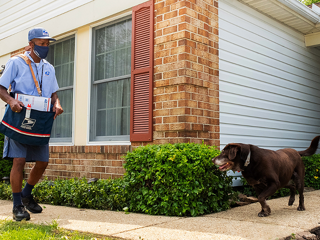 Letter carrier Thomas Tyler takes a protective stance against an approaching dog.