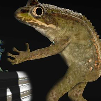 Loveland FrogmanThe Cincinnati area’s most famous cryptid is just begging for the costume treatment.