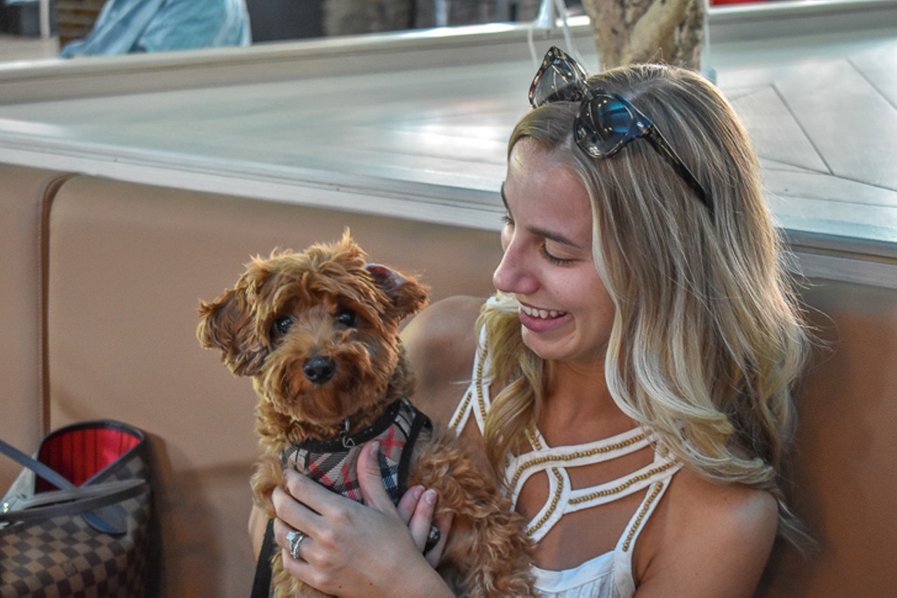 Jaimie Beerck and her 3-year-old Yorkie-Poo, Sully, sat at a booth.