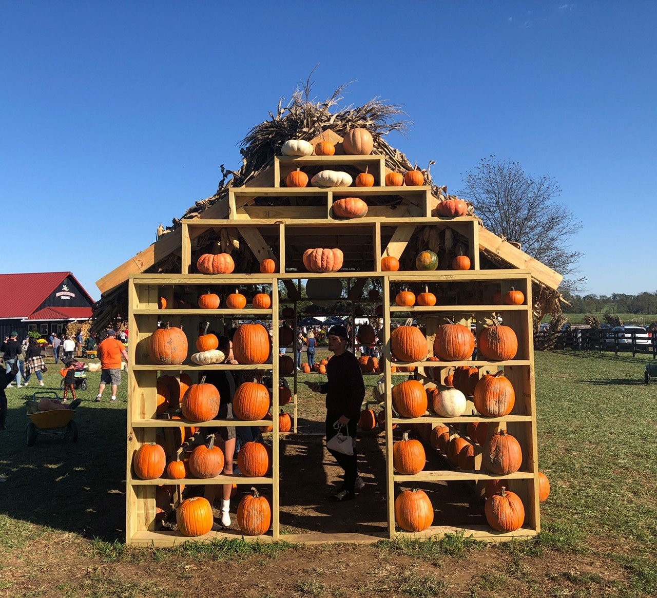 Everything We Saw at Evans Orchard's Ever-Expanding Pumpkin Patch and Fall Fest in Georgetown, Kentucky