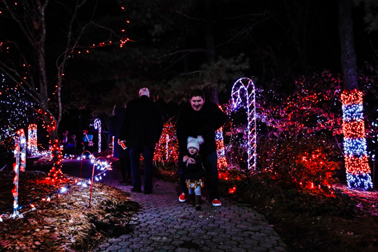 Everything We Saw at the Cincinnati Zoo's 37th-Annual Dazzling Festival of Lights