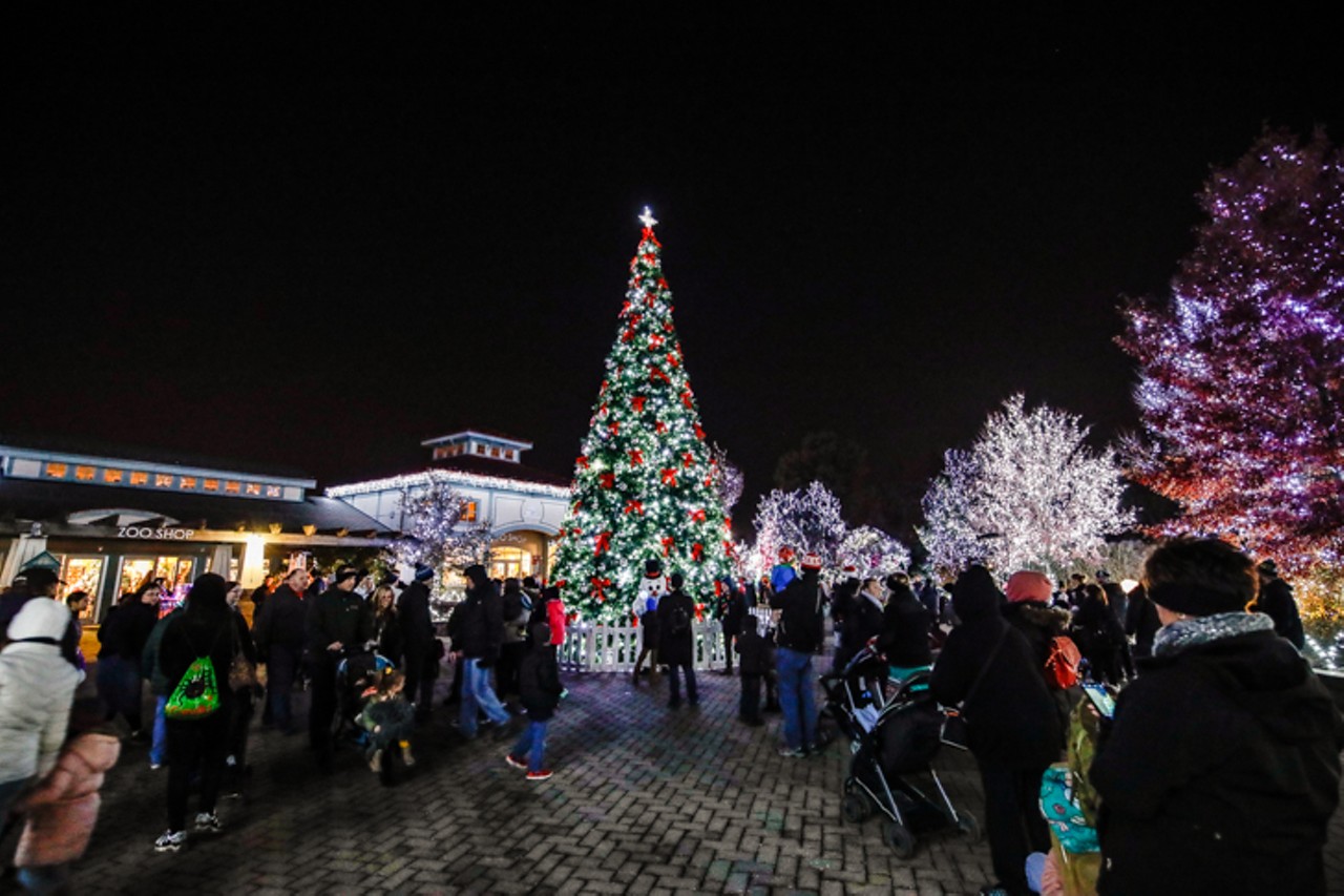 Everything We Saw at the Cincinnati Zoo's 37th-Annual Dazzling Festival of Lights