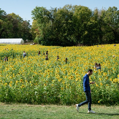 Here's Everything We Saw During the Gorman Heritage Farm Sunflower Festival