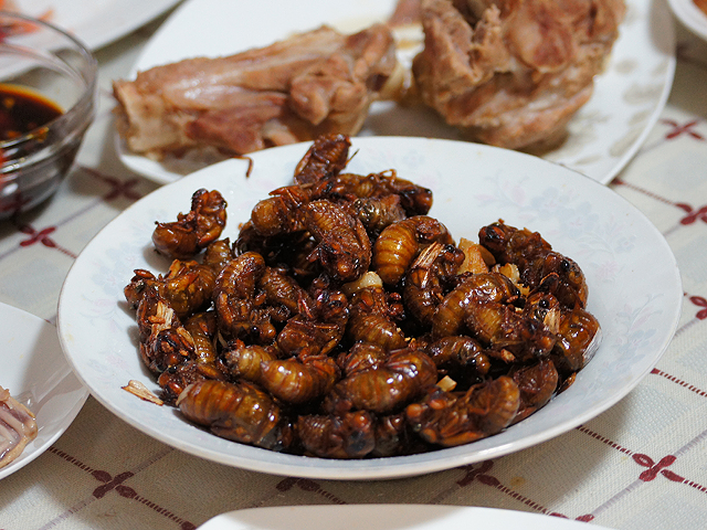 A bowl of deep-fried cicadas