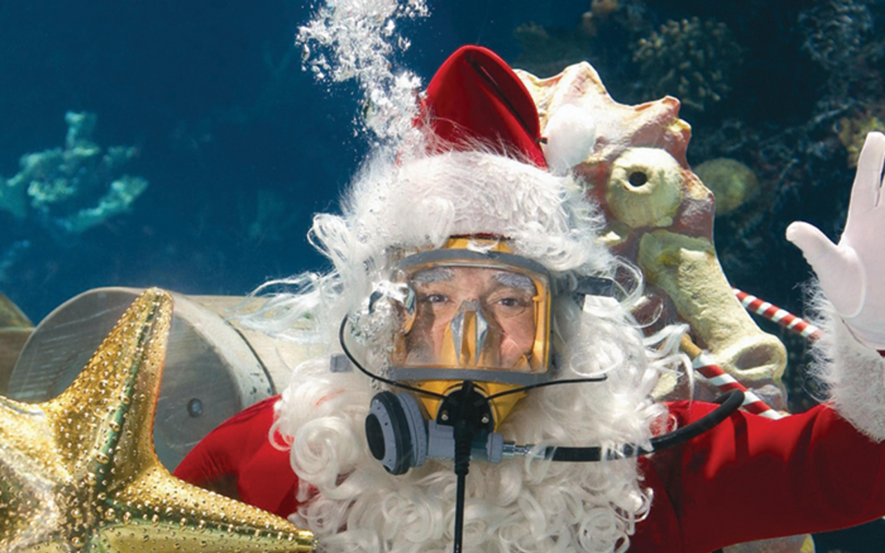Scuba Santa at the Newport Aquarium