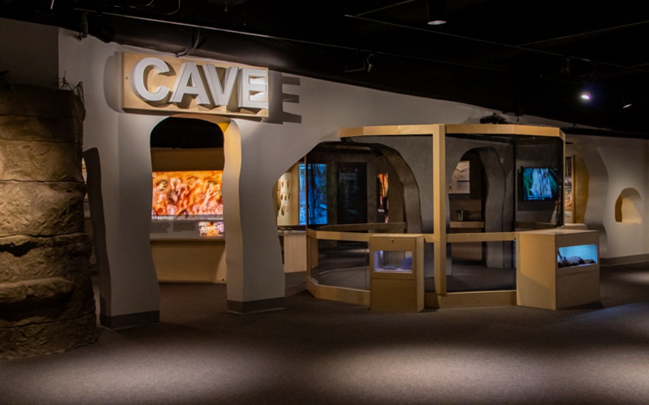 Inside Cincinnati Museum Center's Refreshed and Reimagined Subterranean Cave