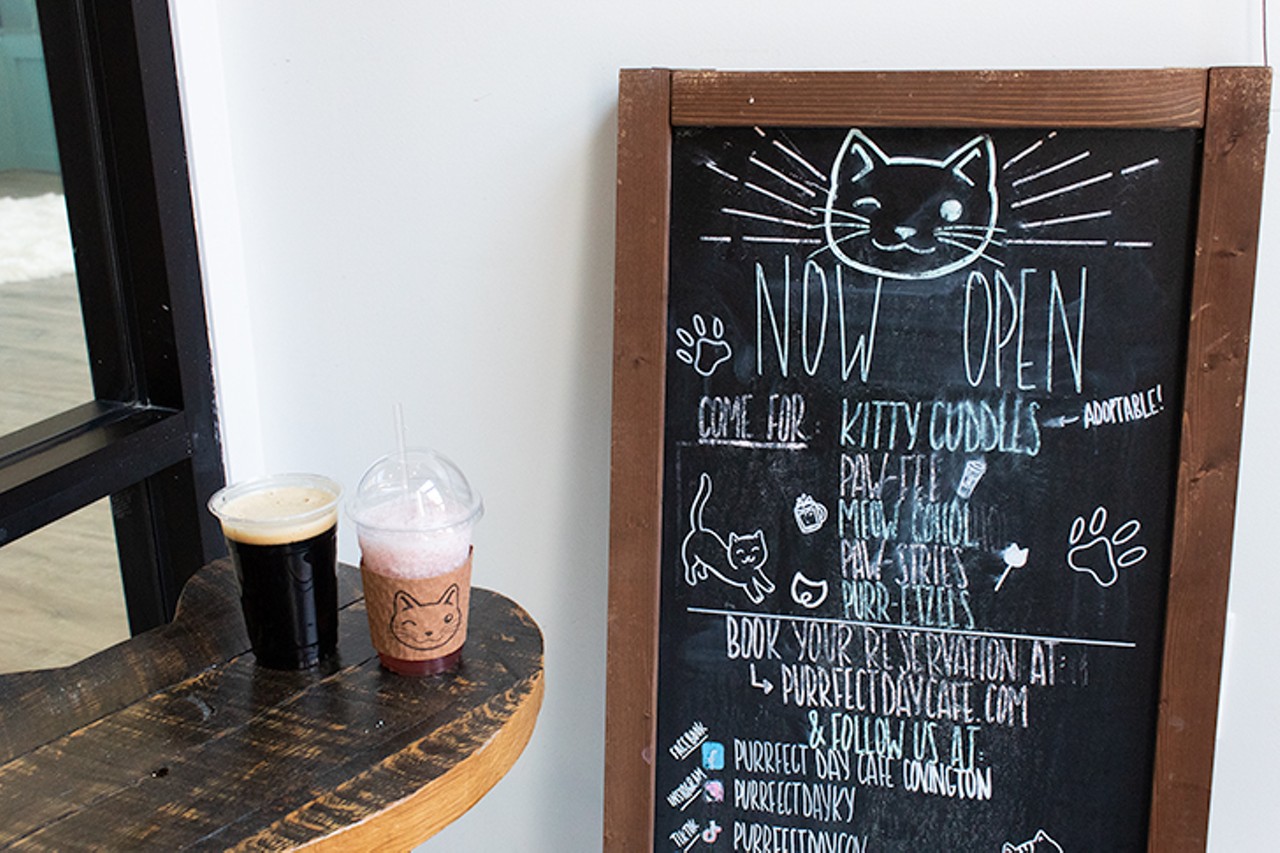 Inside Covington's Purrfect Day Cat Cafe, an Adoption Agency Meets a Coffee Shop