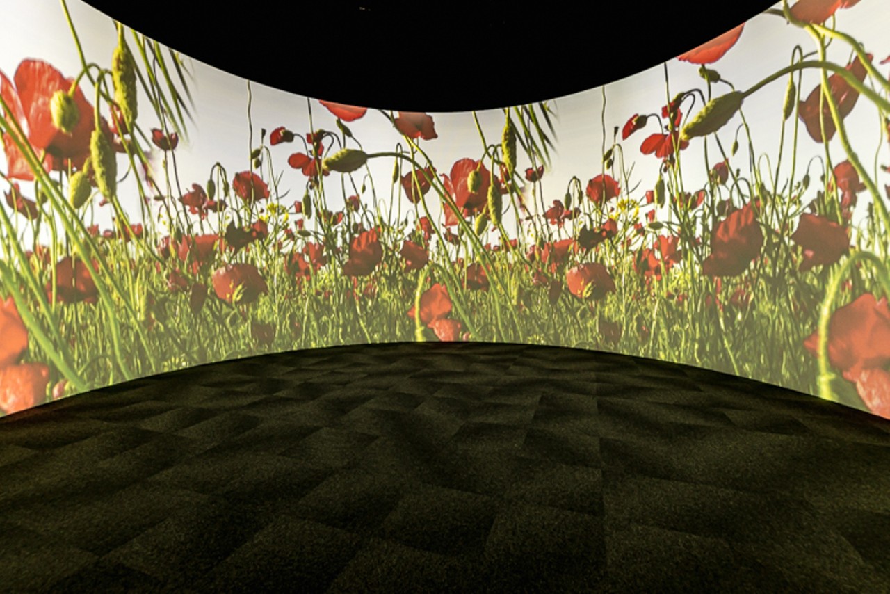 A separate room off of the main space that features a 360-degree projection
