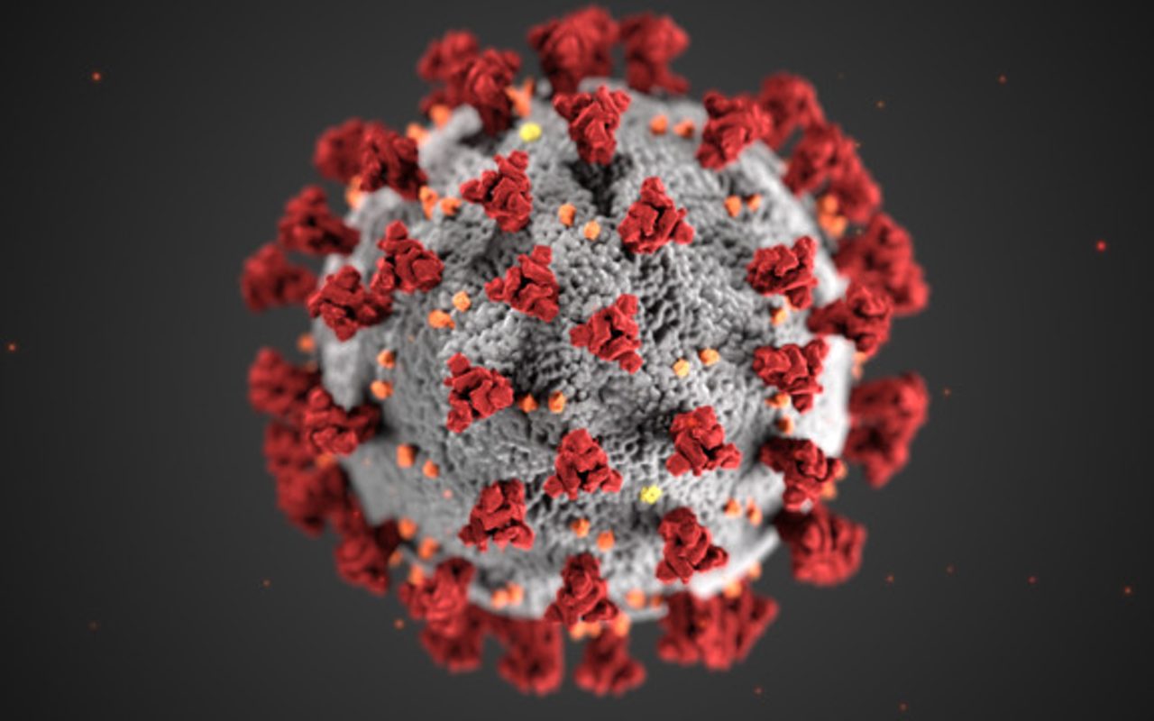 A rendering of the COVID-19 coronavirus.