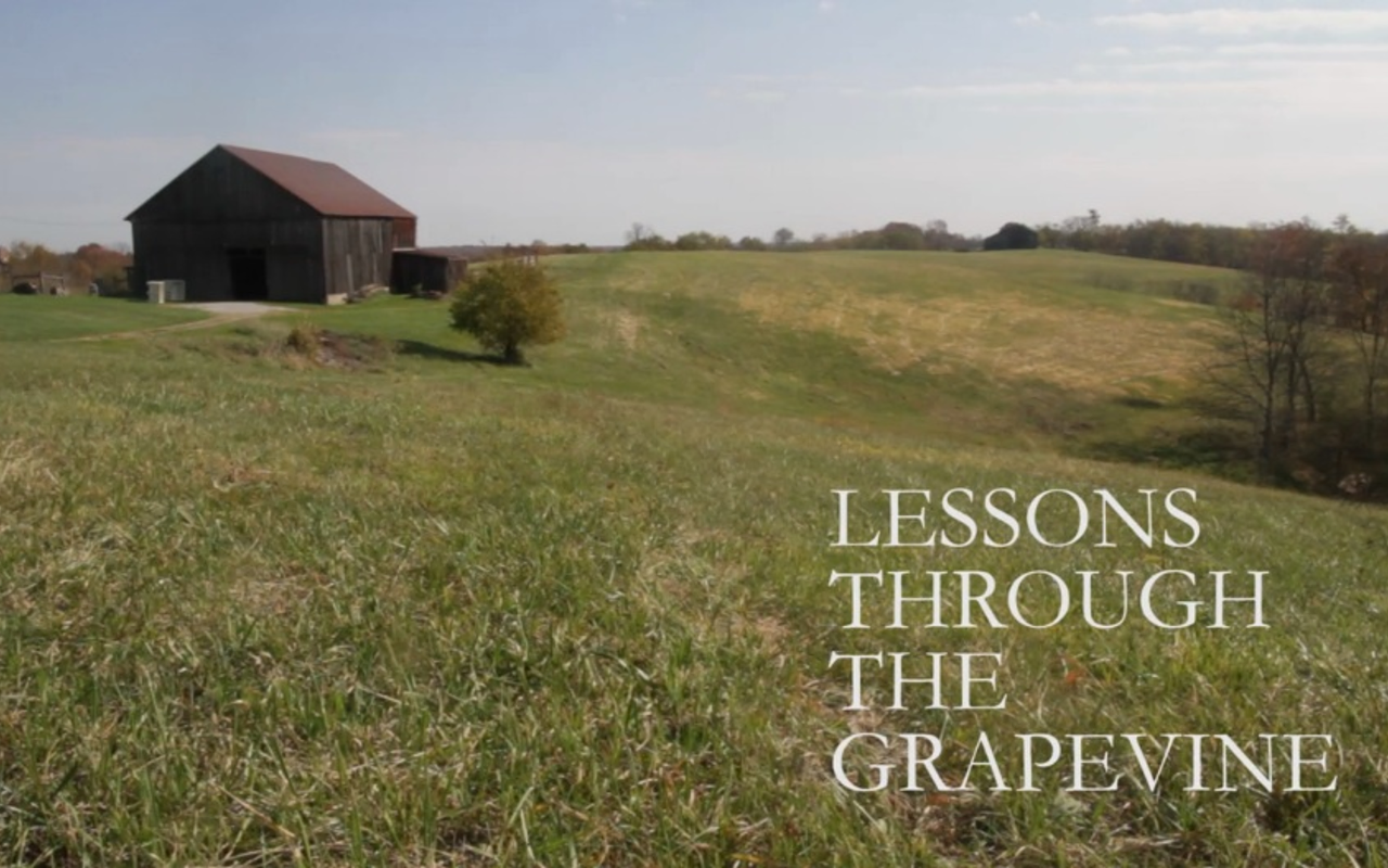 Lessons Through the Grapevine