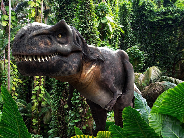The Tyrannosaurus rex is one of several animatronic dinosaurs to be on display at the museum.