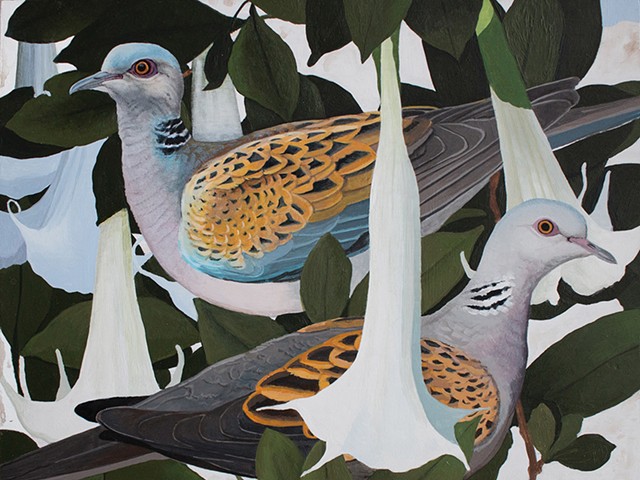 “Turtledoves in Angel Trumpets” by Shae Warnick