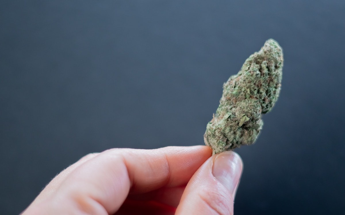 The state Division of Cannabis Control recently awarded about 60 dual-use provisional licenses to various medical marijuana dispensaries, cultivators, laboratories and processors.